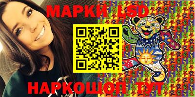 индика Заволжье