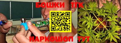 индика Заволжье